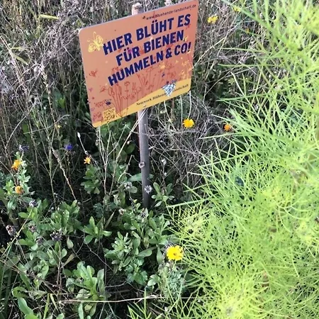 Apartment Mp 7 Backbord Klutz