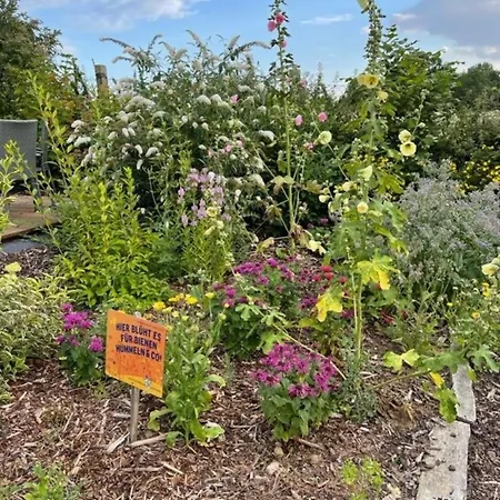 Mp 7 Backbord Apartment *